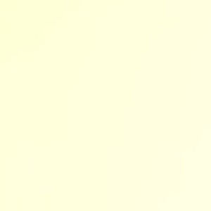 Meet your Posher, Anne